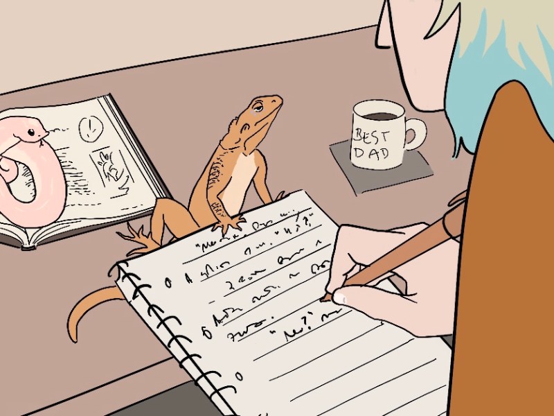 Writings from a&nbsp;Write-In