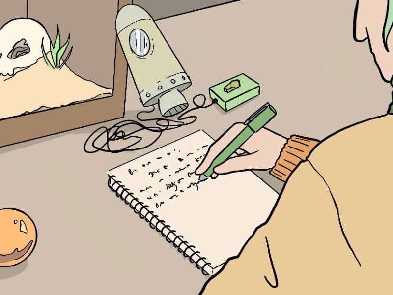 Writings from Write-ins 2:&nbsp;November