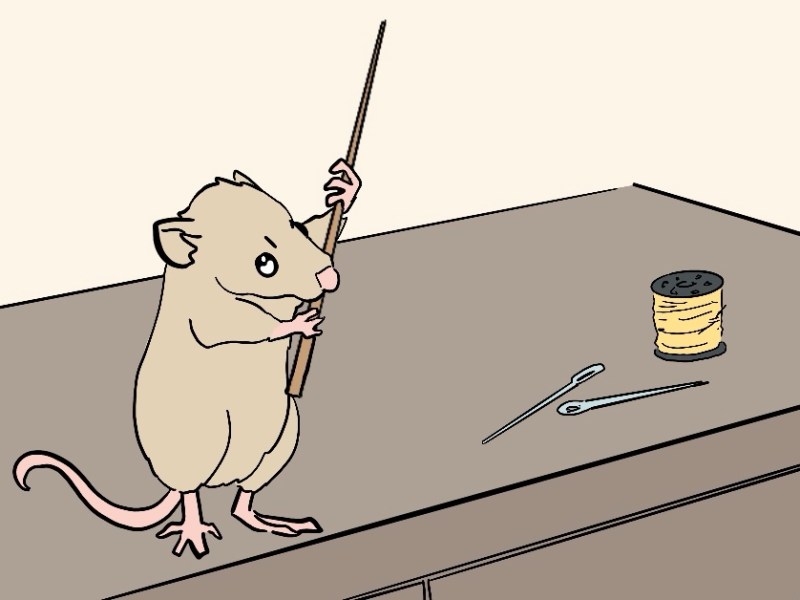 Writings and doings:&nbsp;January